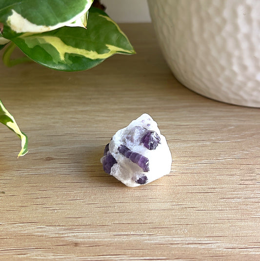 Scaploite on Calcite on a wooden surface with a plant in the background