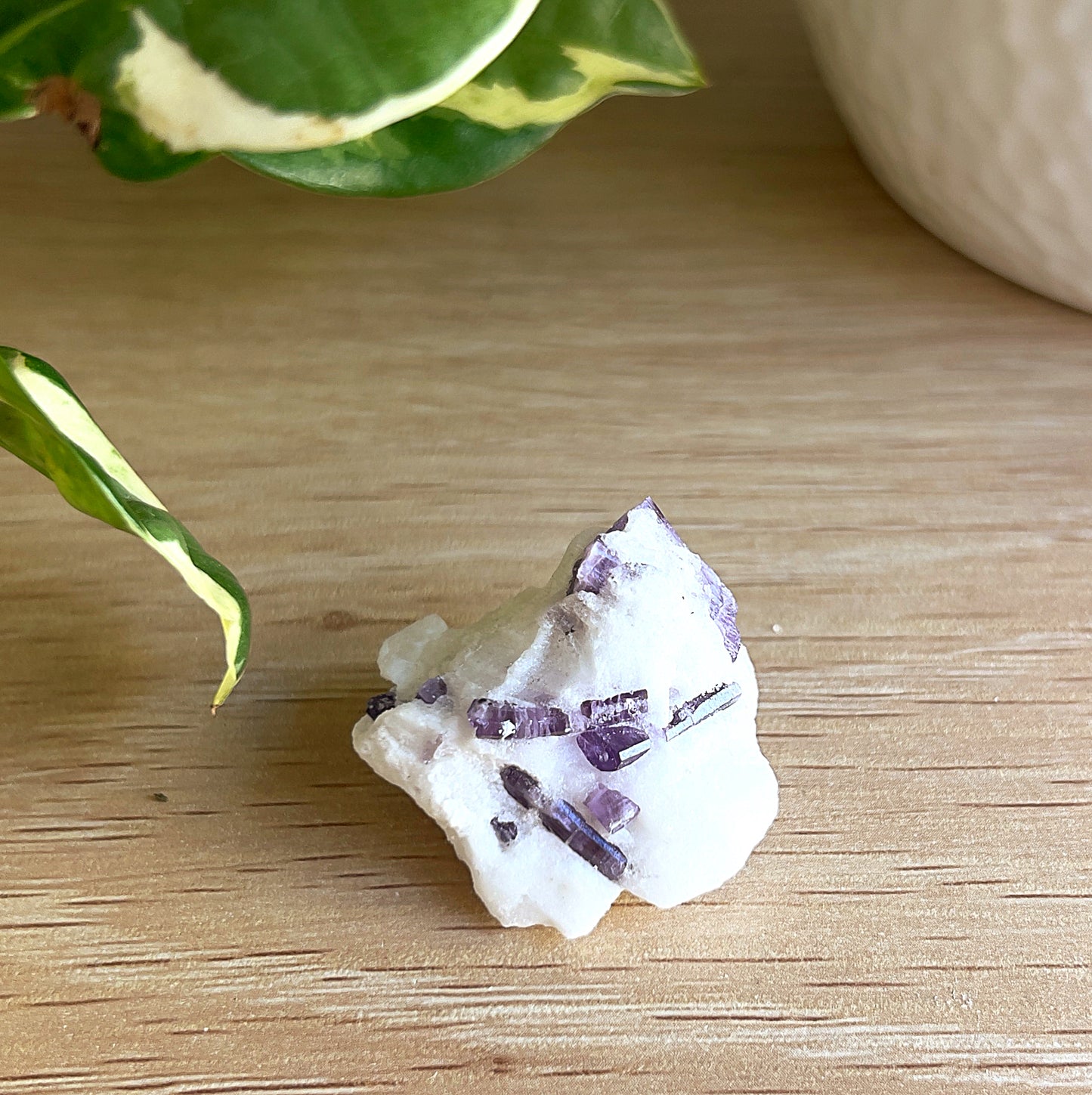 Scapolite on calcite on a wooden surface with a plant in the background