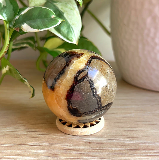 Septarian Stone sphere on wooden surface with plant in background