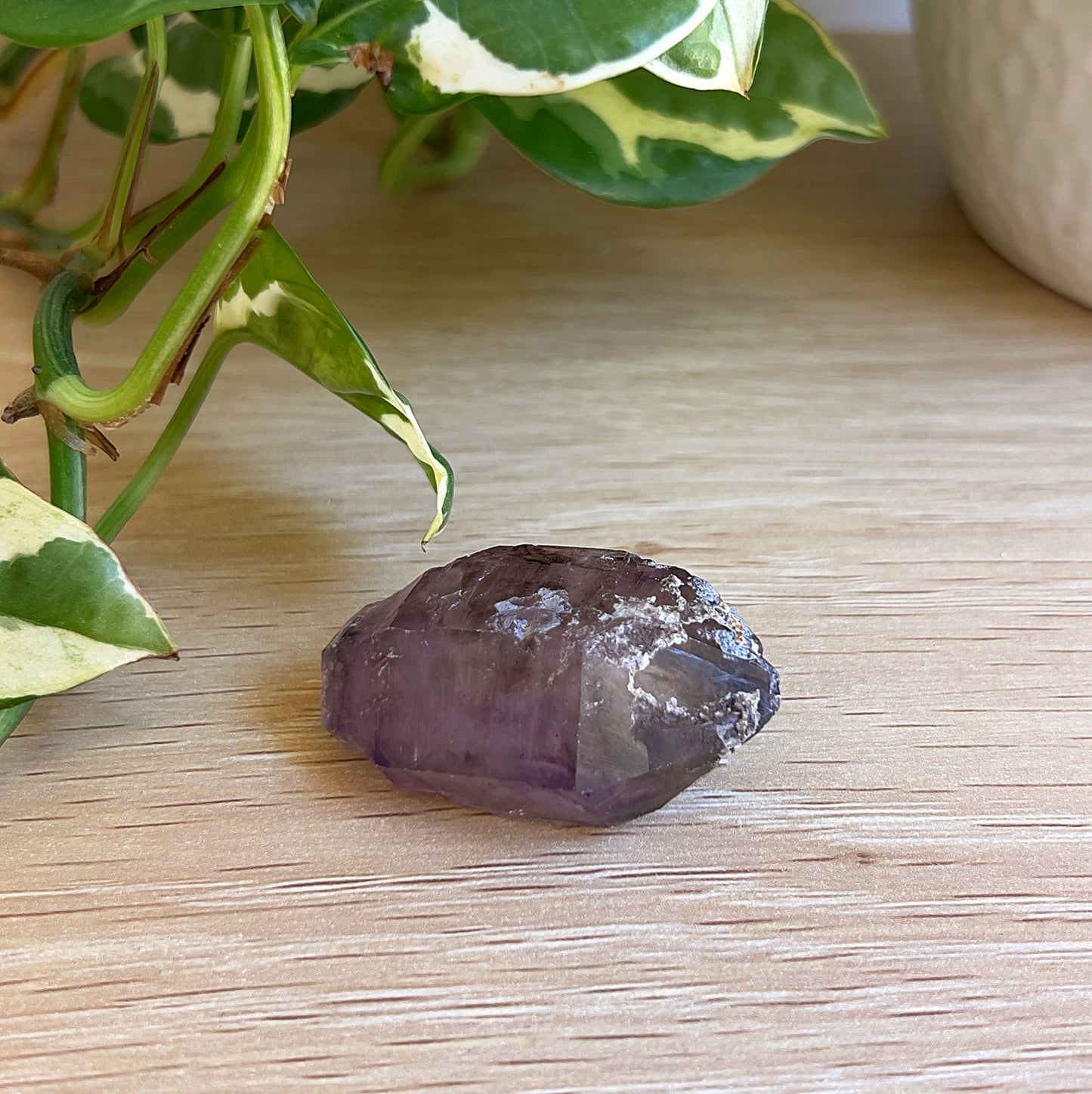 A Super 7 Amethyst point on wooden surface with a plant in the backgound