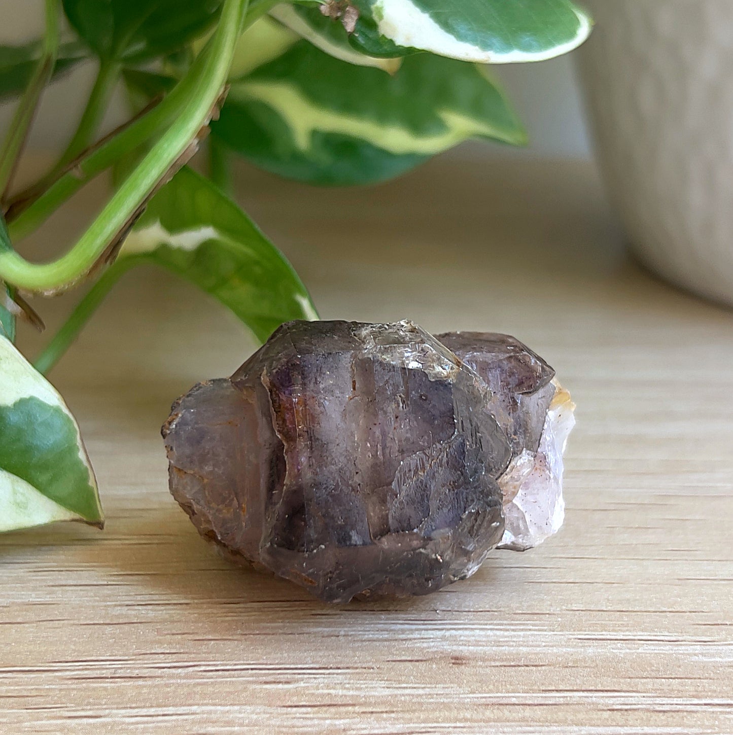 Raw Super 7 crystal on a wooden surface with green leaves in the background