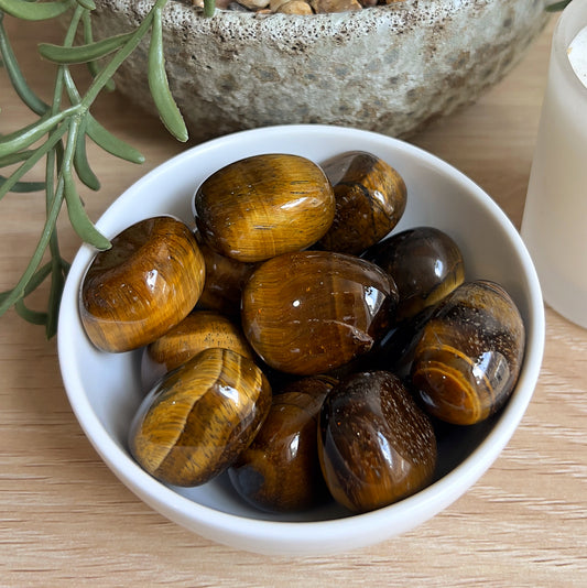 Tiger Eye tumbles in white dish, potted plant on wooden surface.