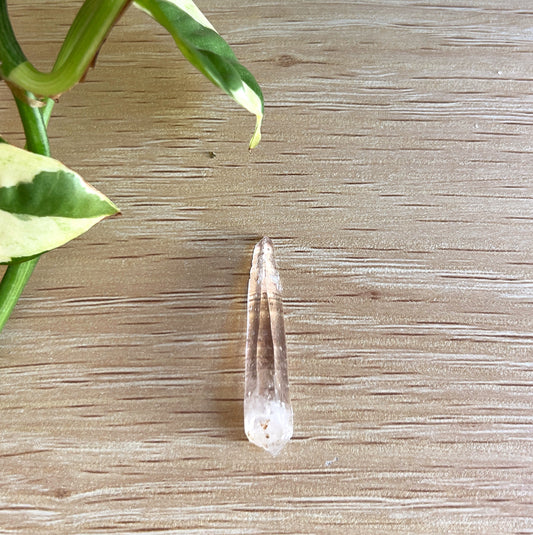 A Vera Cruz point on wooden surface with plant in background