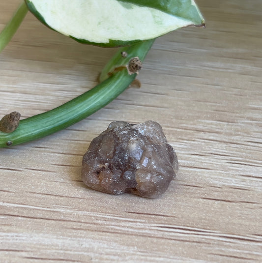 Hart’s Range Zircon (NT) – 1.8cm | 5.56g