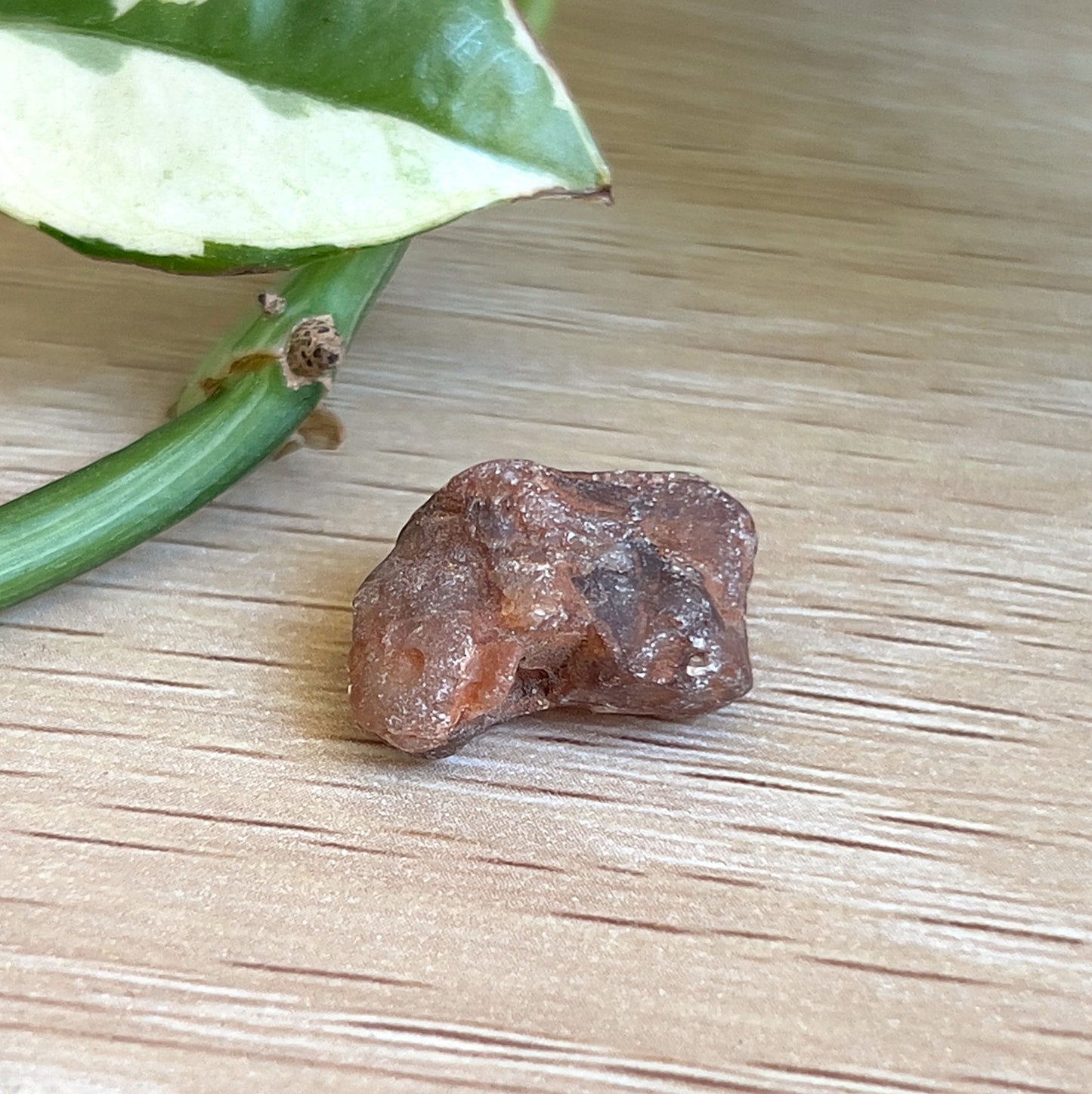 Hart’s Range (NT) Zircon – 6g | ~1.9cm