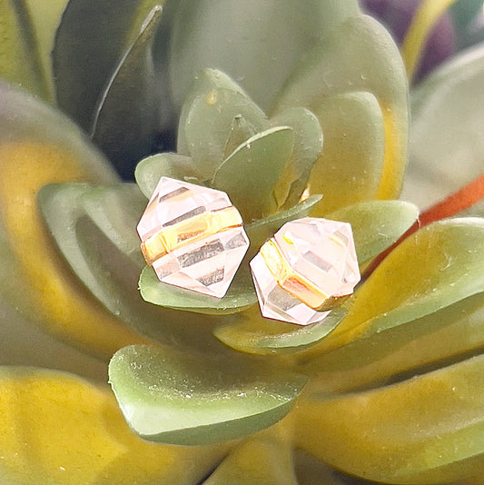 Close-up image of clear quartz stud earrings with gold plating, displayed against a background of green succulent leaves. The earrings feature faceted clear quartz stones with a delicate, reflective finish, creating a minimalist and elegant design. | Simply Esoteric