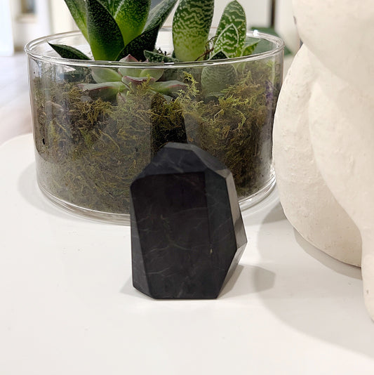 Shungite Geolith approximately 5-6cm in size, featuring deep black tones with natural veining, displayed with a glass pot containing succulents and a white sculpture in the background. | Simply Esoteriv