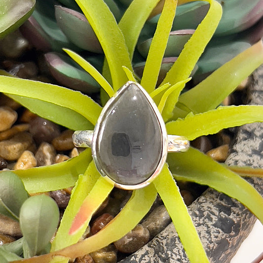 A close-up image of a sterling silver ring featuring a pear-shaped labradorite gemstone. The stone's surface displays subtle iridescent flashes, set in a bezel mount, resting on a vibrant green succulent background. The ring is size 11 and radiates elegance and earthy charm. | Simply Esoteric