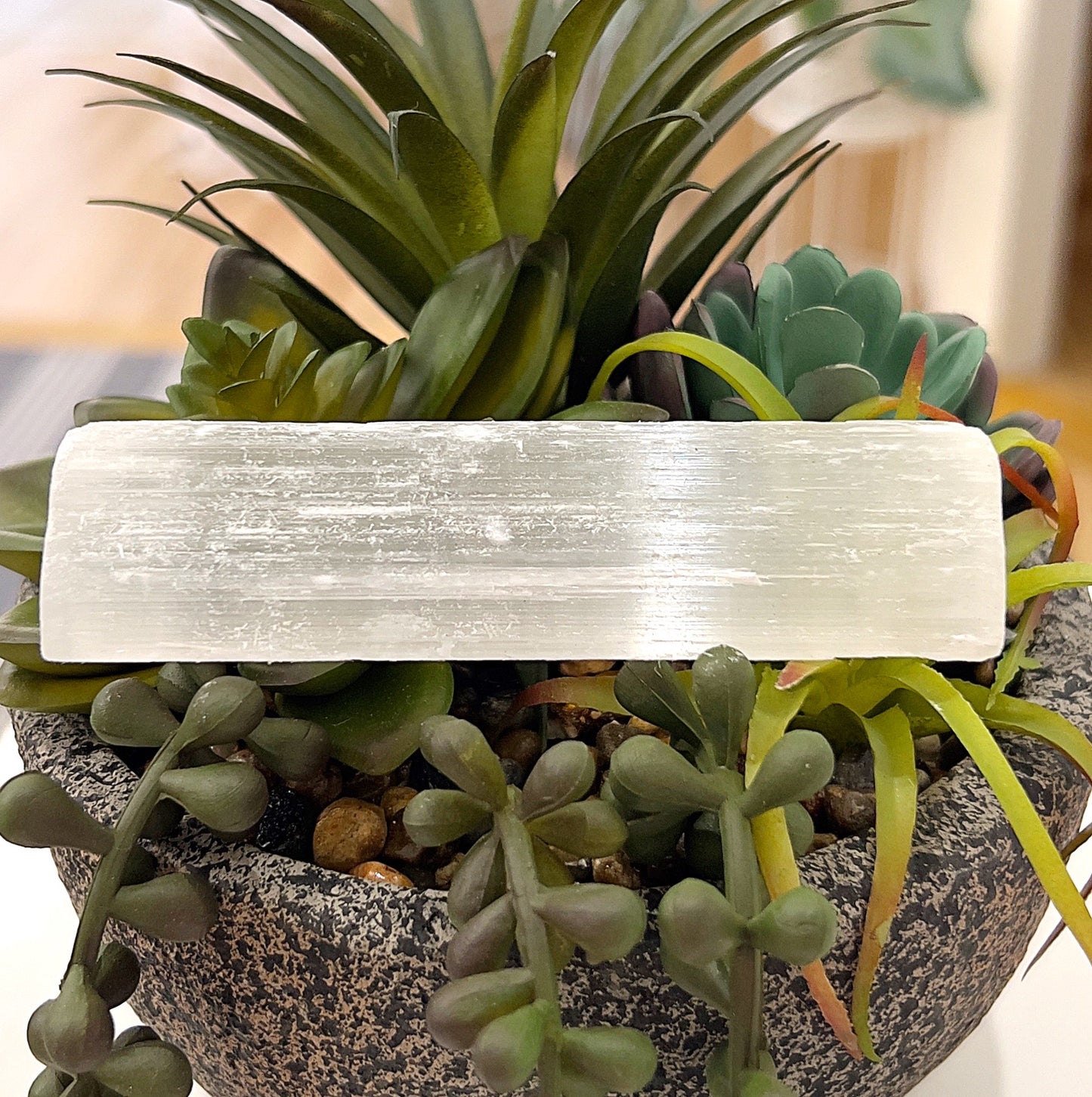 Raw selenite stick approximately 10cm long, displayed on a bed of vibrant green succulents. The selenite's natural striations and soft white glow are highlighted, showcasing its raw and authentic beauty. | Simply Esoteric