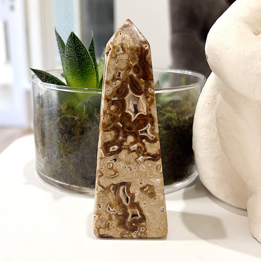 Crazy Lace Agate Obelisk approximately 11.5cm tall, featuring vibrant patterns and swirling bands of brown, cream, and beige, displayed with a glass pot containing a succulent plant in the background. | Simply Esoteric