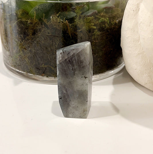 A Labradorite Geolith approximately 5cm by 2.5cm with a striking blue and purple flash, positioned in front of a green plant. | Simply Esoteric