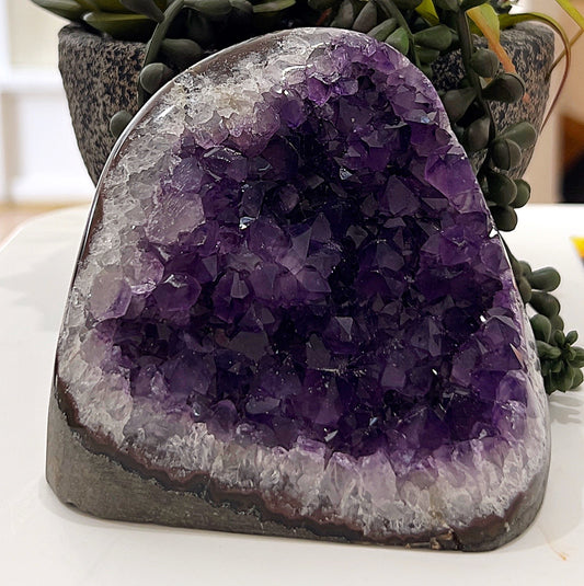 A stunning amethyst cluster with deep purple crystals arranged in a natural formation. The cluster is displayed upright, showcasing its rich hues and sparkling facets. It is placed on a white surface next to a potted plant with green leaves and a white ceramic figurine, creating a serene and elegant ambiance. | Simply Esoteric