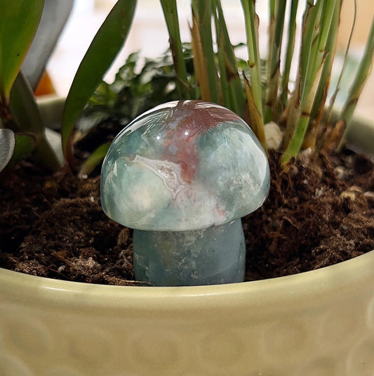 A 5.5cm Bloodstone mushroom carving displayed in a plant pot. The mushroom features deep green hues with streaks of red and earthy tones, highlighting the natural beauty of the Bloodstone. The setting emphasizes the mushroom’s connection to nature, making it a visually appealing and grounding decorative piece. | Simply Esoteric