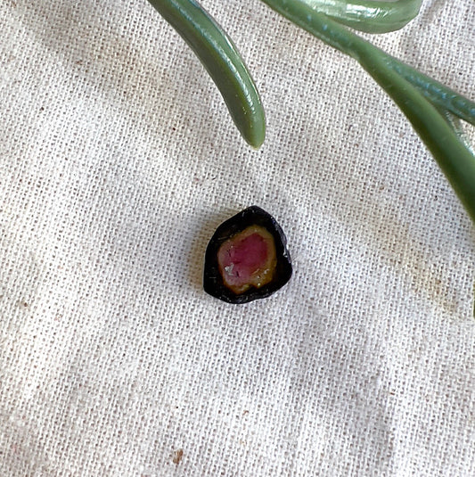 Natural Watermelon Tourmaline slice 0.9 x 0.8cm, pink and green gemstone, 1.95ct 0.39g. | Simply Esoteric