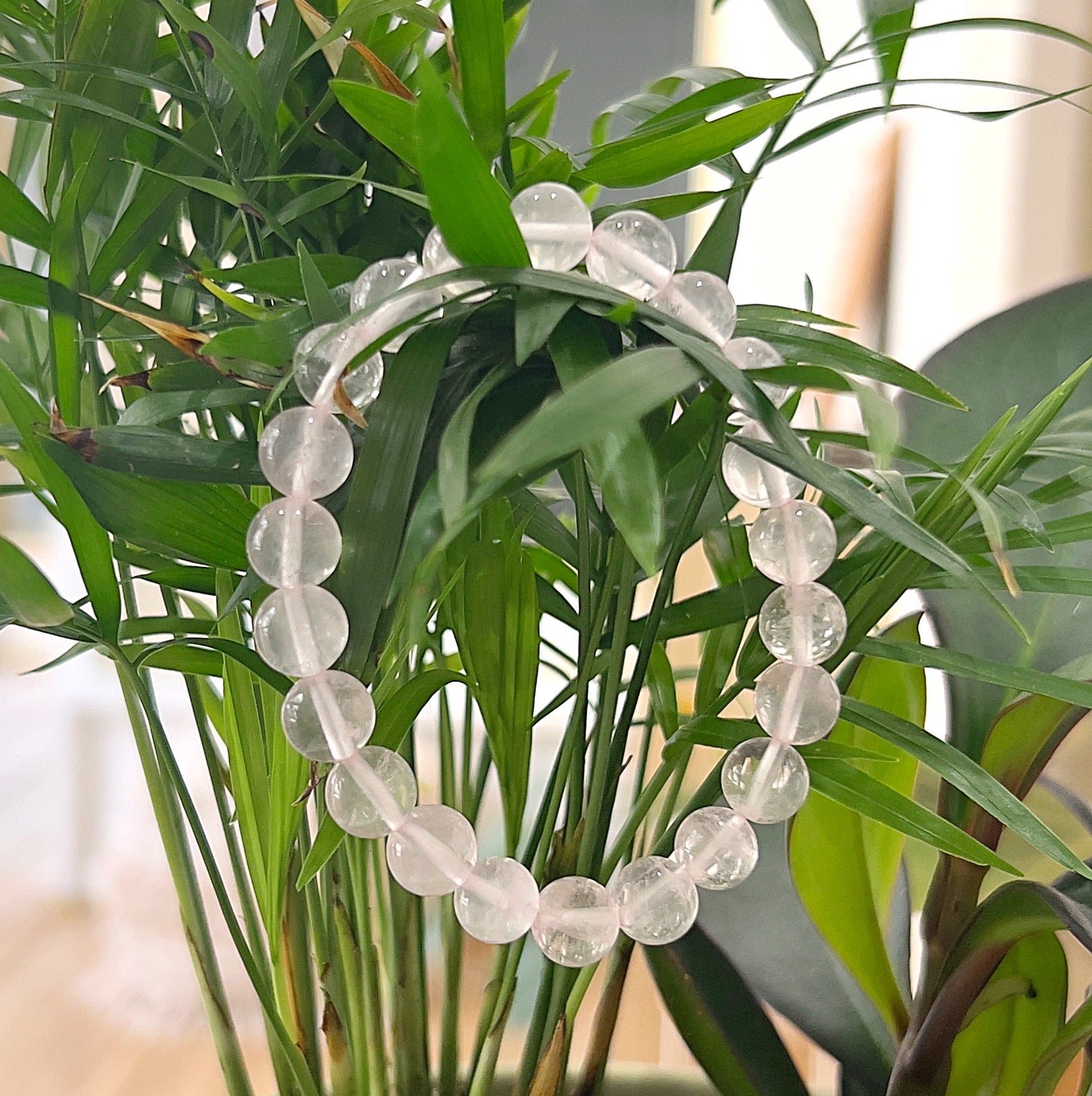 A rose quartz bead bracelet made with 8mm round beads, strung on a stretchy cord, displayed draped over green plant leaves. The light pink beads contrast gently with the lush green leaves, highlighting the bracelet's soft, calming energy. | Simply Esoteric