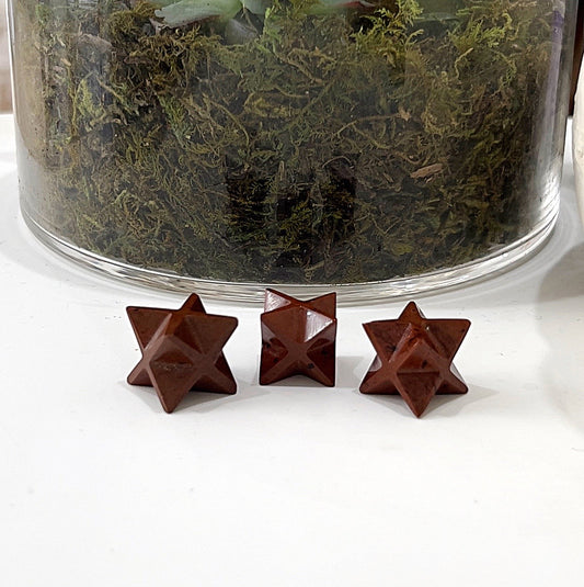 Three small Mahogany Obsidian Merkaba stars, each approximately 2-2.5 cm in size, placed in front of a glass container filled with green moss and succulents. The stars display rich, deep mahogany hues interlaced with black streaks, highlighting their unique and intricate patterns. | Simply Esoteric