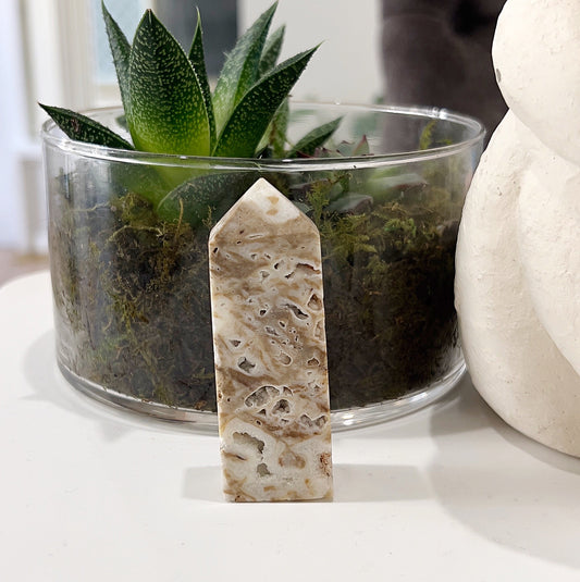 Crazy Lace Agate Tower approximately 7cm tall, featuring intricate patterns and swirls of brown, beige, and cream, displayed with a glass pot containing a succulent plant in the background. | Simply Esoteric