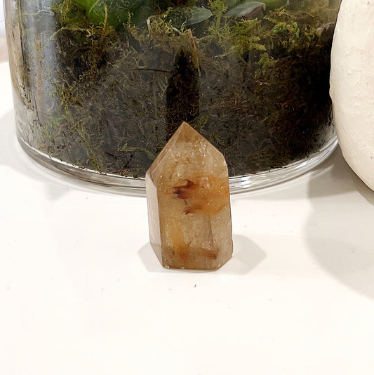 Rutilated Quartz Point measuring approximately 4cm, featuring golden rutile inclusions, set against a background with a glass pot containing a succulent plant. | Simply Esoteric
