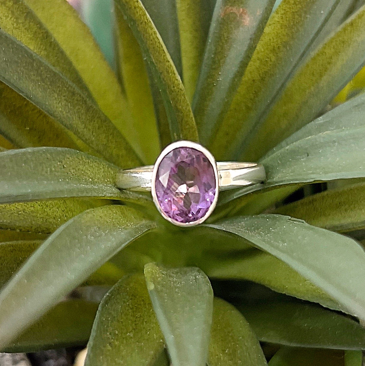 A sterling silver ring featuring an oval-cut amethyst gemstone with vibrant purple hues, set in a polished bezel design. The ring is displayed against a backdrop of lush green succulent leaves, highlighting its elegant craftsmanship and size 9 fit. | Simply Esoteric