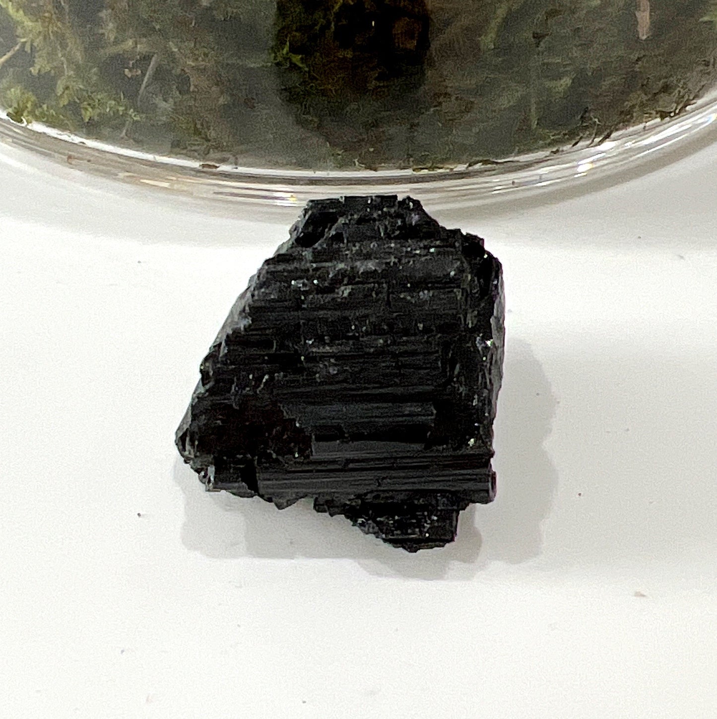 A raw piece of Black Tourmaline placed on a white surface with a background of green moss, highlighting its natural, rugged texture and deep black color. | Simply Esoteric