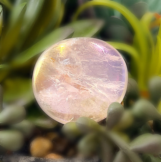 A round Rose Quartz Aura Quartz palm stone, displaying a gentle pink hue with a captivating iridescent sheen, set against a background of lush green plants. The stone's smooth surface and shimmering details are highlighted, creating a serene and calming aesthetic. | Simply Esoteric