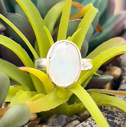 A close-up image of a moonstone sterling silver ring, size 7. The oval-shaped moonstone is bezel-set in a polished sterling silver band, resting on a backdrop of vibrant green succulent leaves. The moonstone displays a subtle iridescent glow, enhancing its ethereal and elegant appearance. | Simply Esoteric