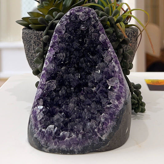 A beautiful Amethyst Cluster standing approximately 10cm tall, featuring vibrant purple crystal formations. The cluster rests on a natural base, displayed against a background of lush green succulents. The piece showcases its radiant texture and deep hues, perfect for both decoration and spiritual use. | Simply Esoteric