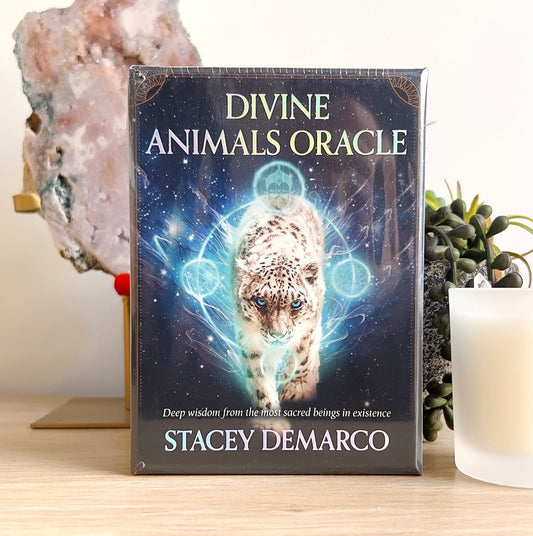 Oracle deck titled "Divine Animals Oracle" by Stacey Demarco, featuring a luminous snow leopard surrounded by glowing symbols, set on a wooden table with crystals and plants. | Simply Esoteric