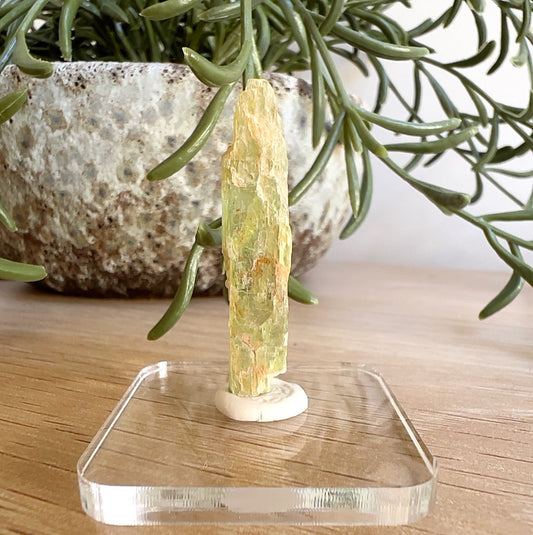 Green Kyanite crystal specimen, 3.33g, 16.65ct, 4.3cm – heart chakra stone for balance, growth, and spiritual alignment. | Simply Esoteric