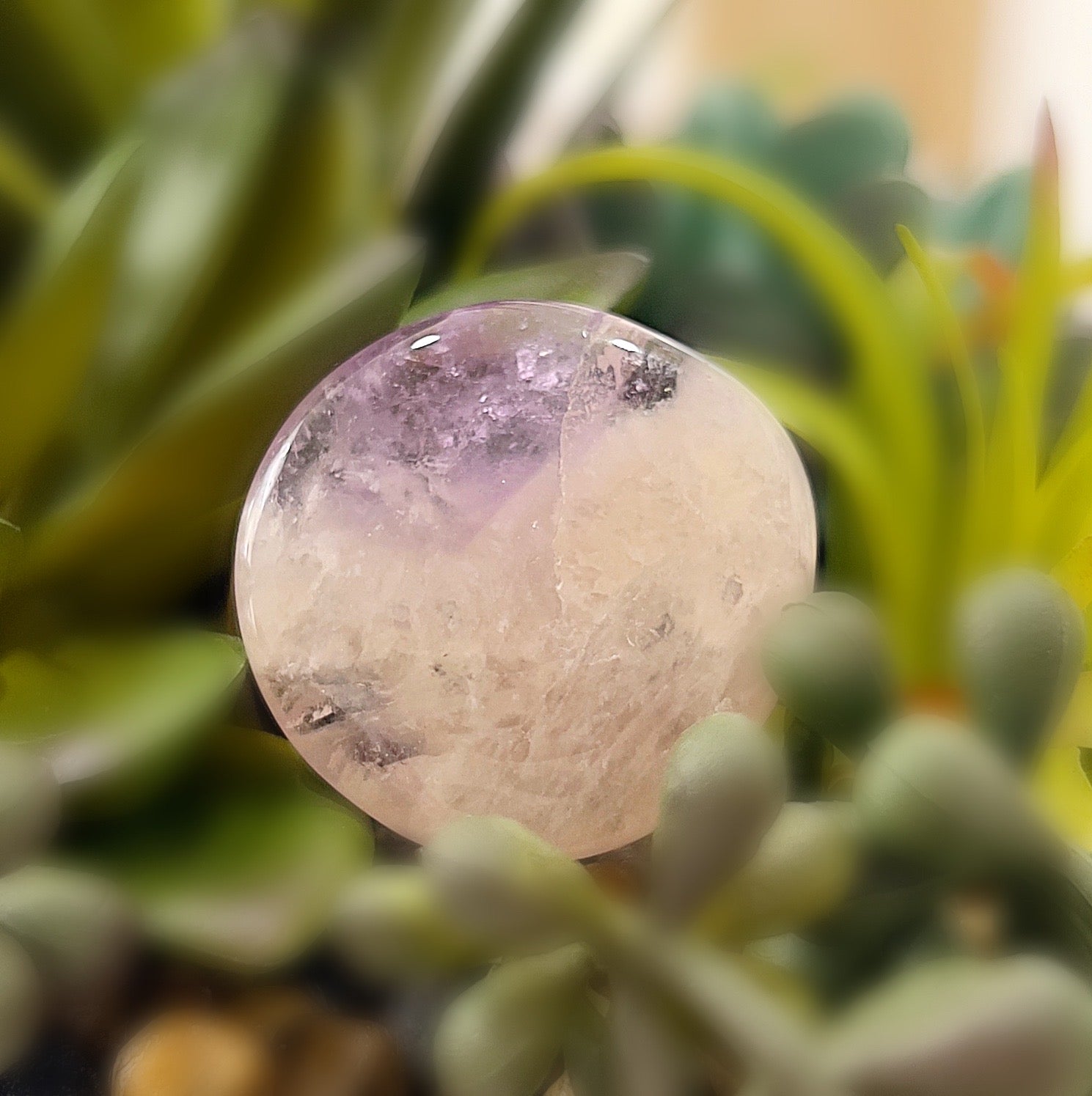 A close-up image of a polished Amethyst flat palm stone, approximately 4cm in size, resting among green succulent plants. The stone displays soft purple hues with natural patterns, giving it a calming and serene appearance, ideal for meditation and spiritual connection. | Simply Esoteric