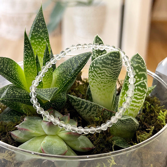A clear quartz bead bracelet featuring 4mm beads strung on a stretchy cord, displayed on a background of lush green succulents. The bracelet exudes a serene and healing energy, showcasing the clarity and natural beauty of the clear quartz beads. | Simply Esoteric