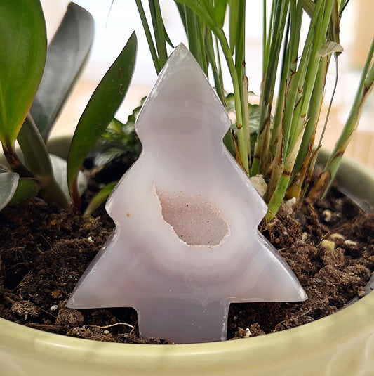 A close-up image of an 8cm Agate Druzy carved tree placed in a planter among green plants. The tree-shaped crystal features soft grey and white banding with a sparkling druzy quartz center, symbolizing grounding and growth. The polished surface and intricate carving showcase the natural beauty of the agate stone. | Simply Esoteric