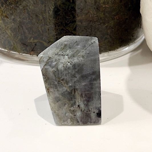 3x3cm Labradorite Geolith with rainbow flash, featuring vibrant hues of blue, green, and gold, displayed in front of a small glass pot with a succulent plant. | Simply Esoteric