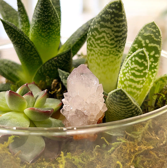 A small light amethyst cluster, approximately 2.5cm to 4cm in height, with delicate light purple hues and sparkling crystal points. The cluster is displayed in a glass bowl with green succulents, creating a serene and natural setting. | Simply Esoteric