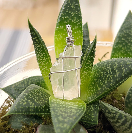 A close-up image of a rose quartz wire wrap pendant in silver. The pendant features a raw, pale pink rose quartz crystal wrapped delicately in silver wire. It is displayed against a vibrant green succulent, highlighting the natural beauty and craftsmanship of the pendant. | Simply Esoteric