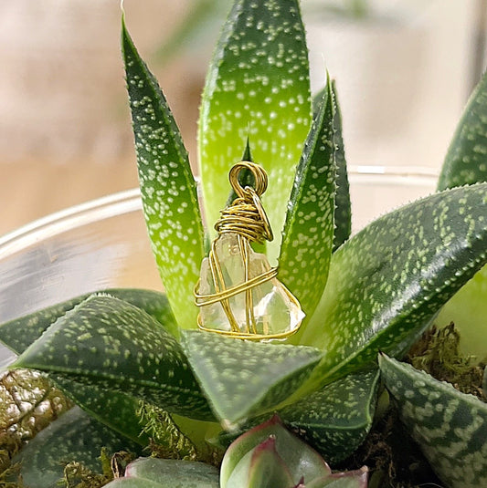 A delicate raw rose quartz crystal intricately wrapped in gold wire, creating a stunning pendant. The pendant is displayed against a background of vibrant green succulent leaves, highlighting the soft pink hue of the rose quartz and the elegance of the gold wire wrapping. The overall image exudes a sense of natural beauty and craftsmanship. | Simply Esoteric