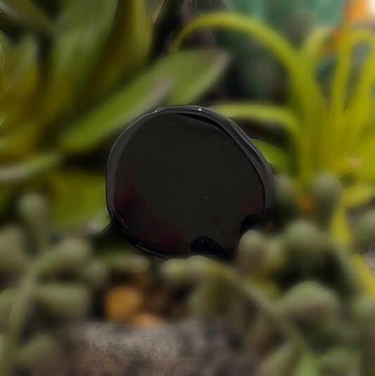 A glossy black obsidian flat palm stone, approximately 3-4 cm in size, displayed against a backdrop of green plants. The stone's smooth, reflective surface contrasts with the natural setting, highlighting its grounding and protective qualities. | Simply Esoteric
