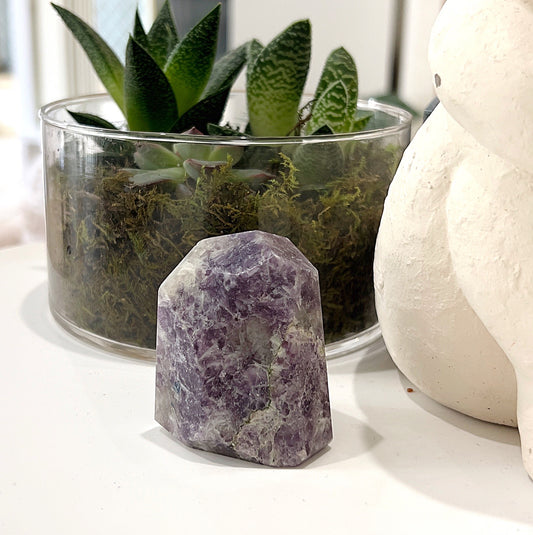 Lepidolite Geolith approximately 5-6cm in size, featuring lavender and purple hues with shimmering mica flecks, displayed with a plant in the background. | Simply Esoteric