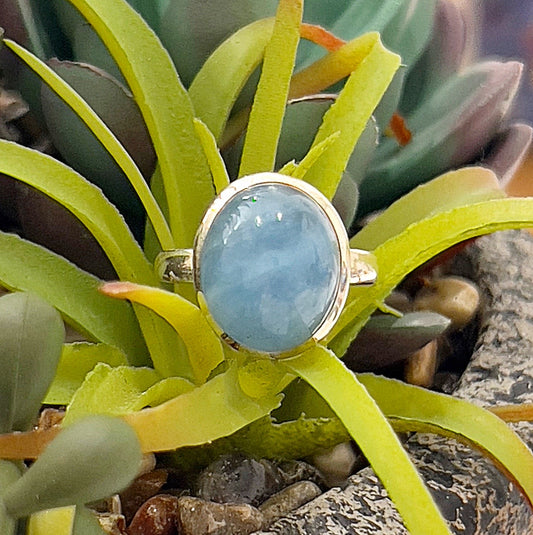 A close-up image of a sterling silver ring with a bezel-set oval aquamarine gemstone, showcasing its soft, tranquil blue hues. The ring is displayed on a bed of vibrant green succulent leaves, highlighting its natural elegance and polished silver band. The setting emphasizes the gemstone's smooth surface and calming oceanic tones. | Simply Esoteric