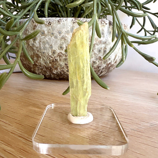 Green Kyanite crystal specimen, 3g, 15ct, 4.7cm – heart chakra stone for balance, growth, and spiritual alignment. | Simply Esoteric