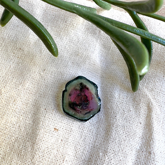 Natural Watermelon Tourmaline slice 1.5 x 1.3cm, pink and green gemstone 4.5ct, 9g. | Simply Esoteric