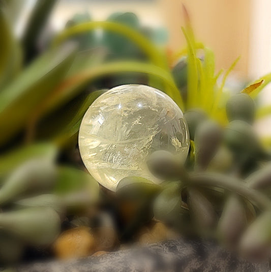 A 2.5cm Citrine sphere with a warm, golden glow, nestled among green plants. The sphere reflects light, showcasing its clear, radiant surface and delicate internal inclusions. | Simply Esoteric