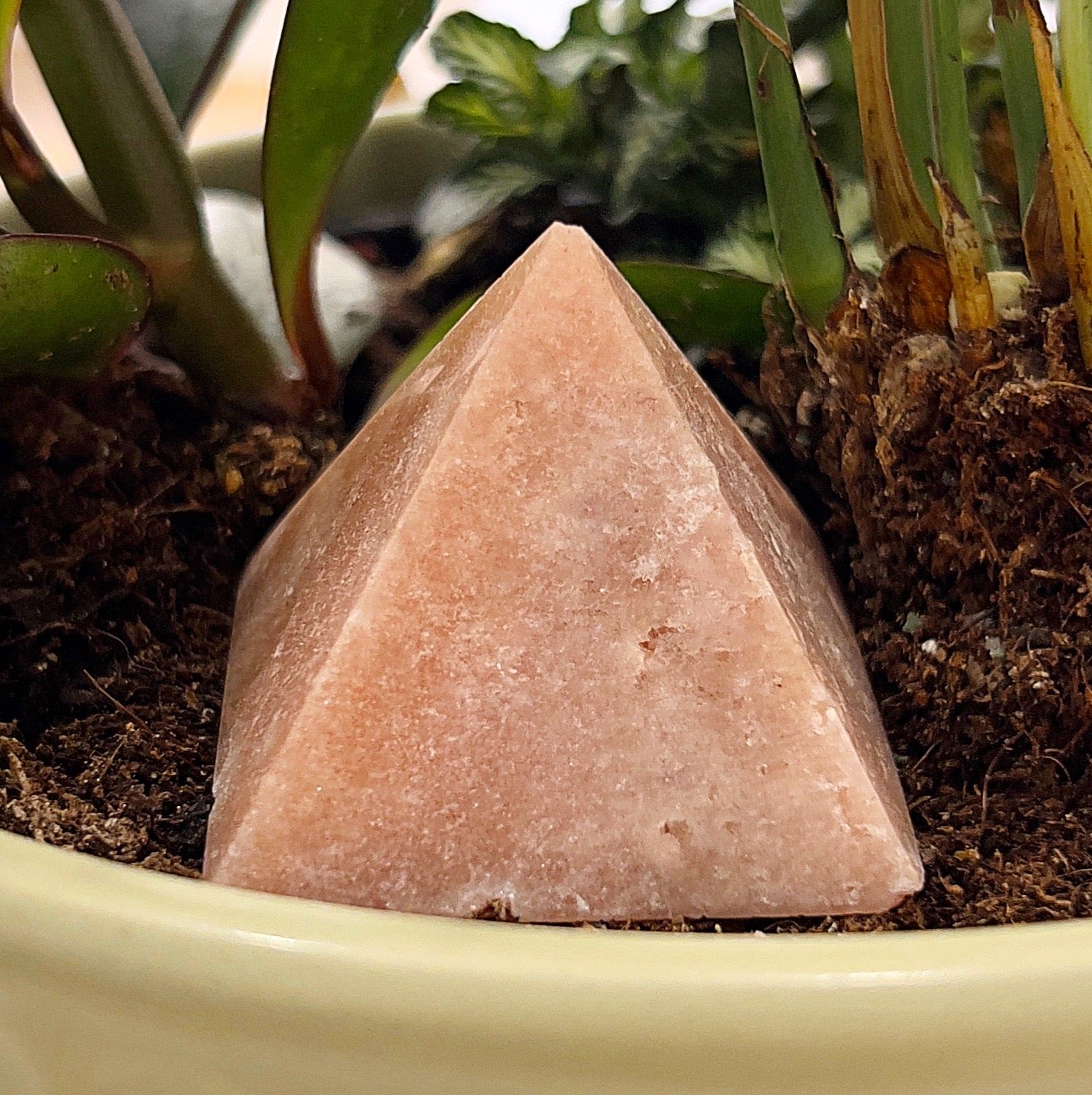 A close-up image of a small pink amethyst pyramid, approximately 3.5cm in height, placed on soil in a plant pot. The pyramid showcases soft blush pink hues with subtle natural marbling. Surrounding the pyramid are vibrant green plant stems and leaves, enhancing the earthy and serene aesthetic. | Simply Esoteric