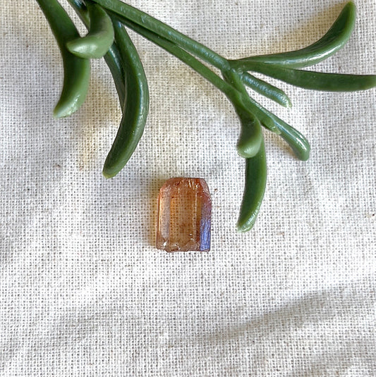 Imperial Champagne Topaz 4.9ct crystal point, 0.98g, 1cm natural golden gemstone. | Simply Esoteric