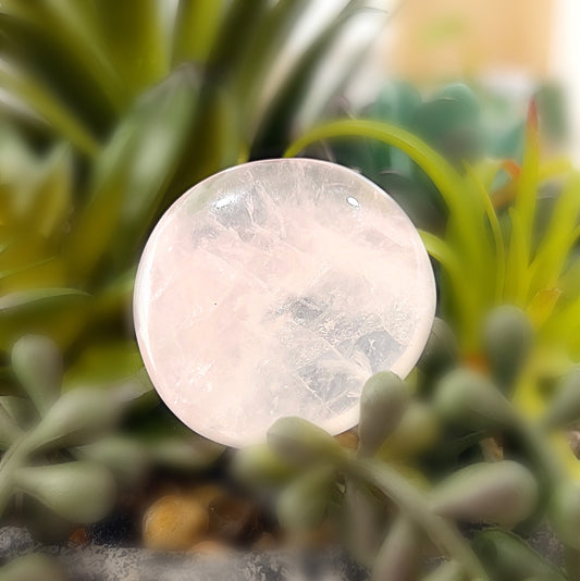 A smooth, polished Rose Quartz flat palm stone, approximately 4cm in size, placed on a natural background of green plants. The stone has a soft pink hue and delicate transparency, exuding a calming, nurturing energy. | Simply Esoteric