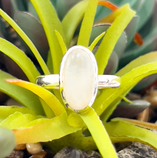 A sterling silver ring featuring an oval-shaped moonstone bezel set in the center, resting on a sleek silver band. The ring is displayed against a vibrant green succulent background, highlighting the moonstone's soft iridescence and the polished silver's reflective shine. The design exudes elegance and simplicity, perfect for both everyday wear and special occasions. | Simply Esoteric