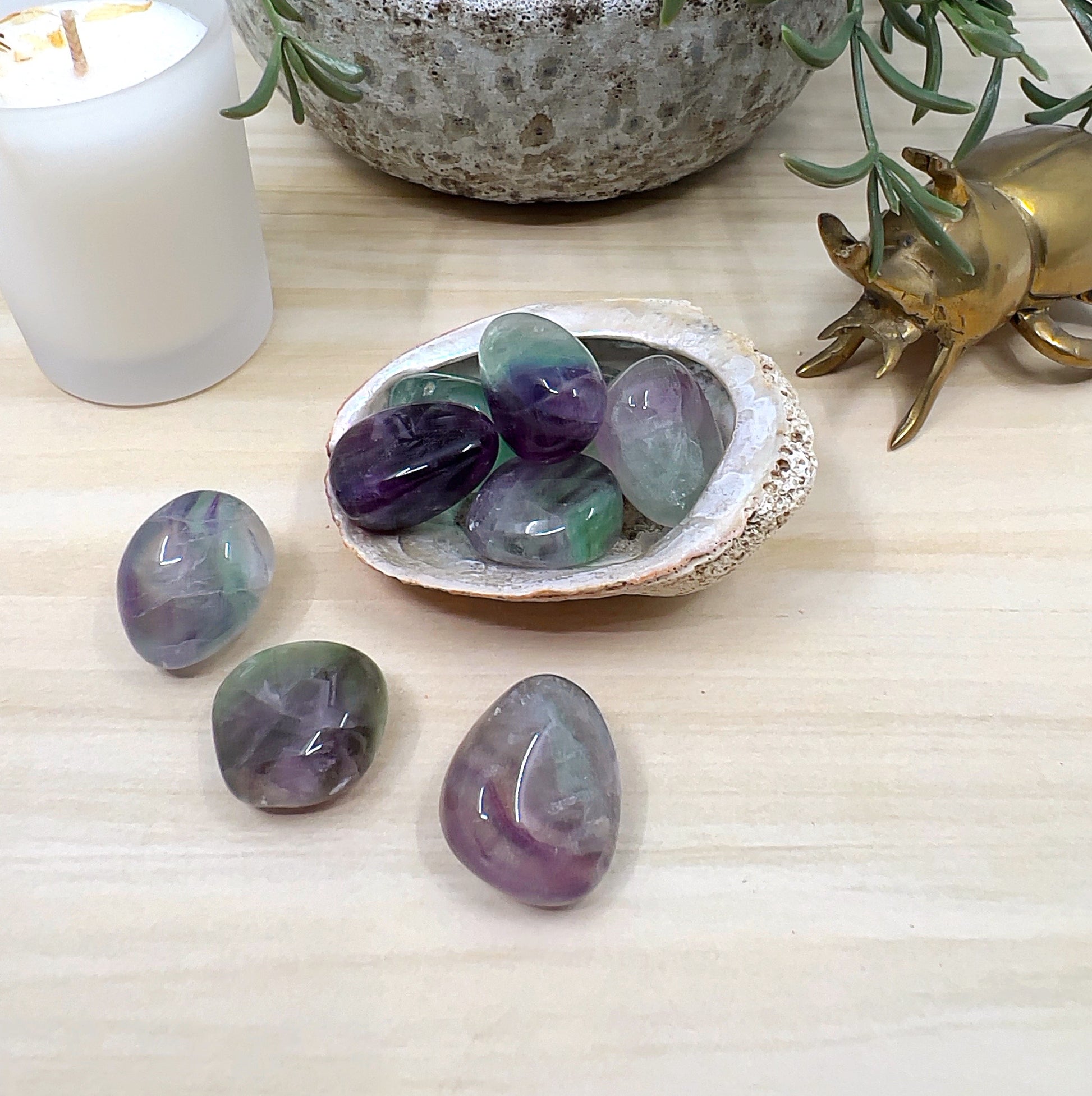 Polished rainbow fluorite tumbled stones in shades of purple, green, and clear, displayed in a shell dish with some stones scattered on a light wooden surface, surrounded by a white candle, ceramic pot with greenery, and a small brass beetle ornament. | Simply Esoteric