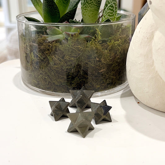 Pyrite Merkaba Stars, approximately 2.5cm each, set against a backdrop of lush green succulents in a decorative arrangement. | Simply Esoteric