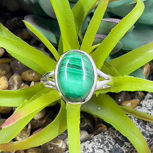 A close-up image of a malachite sterling silver ring displayed on a vibrant green succulent. The ring features a polished, oval-shaped malachite stone with natural green banding, bezel-set in a sleek sterling silver band. The intricate patterns of the malachite and the minimalist design of the silver setting create a harmonious and elegant piece. | Simply Esoteric