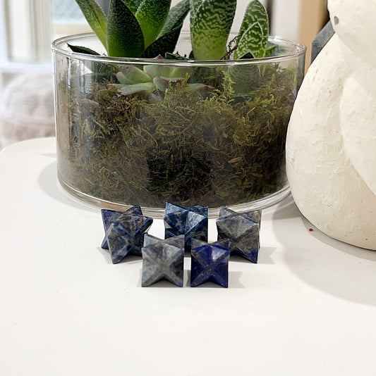 Set of Lapis Lazuli Merkaba Stars, each approximately 2-2.5cm in size, with deep blue hues and gold pyrite flecks, displayed with a plant in the background. | Simply Esoteric